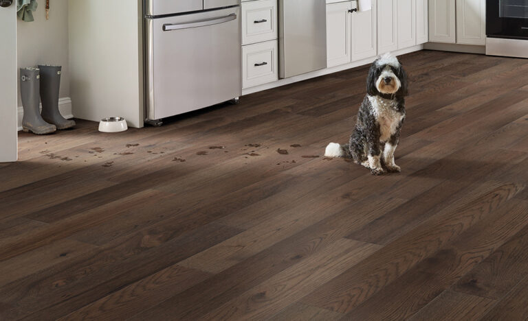 pet-friendly flooring